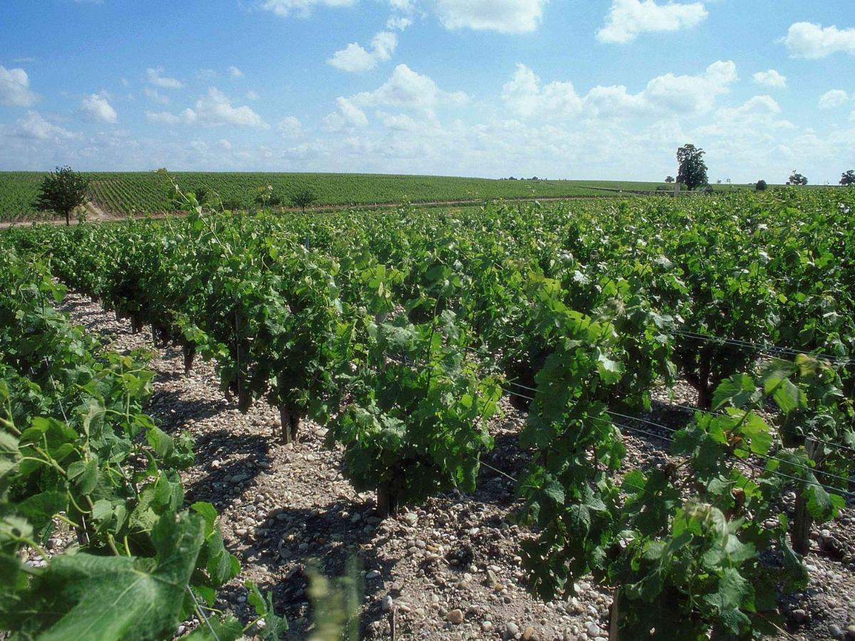 Ibis Bordeaux Saint Emilion Hotel Екстериор снимка